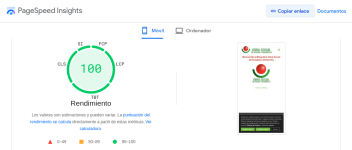 Screenshot 2024-05-04 at 20-53-13 PageSpeed Insights.png
