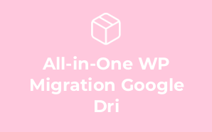 All-in-One WP Migration Google Dri