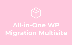 All-in-One WP Migration Multisite