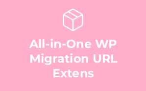 All-in-One WP Migration URL Extens