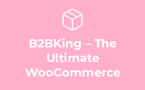 B2BKing – The Ultimate WooCommerce