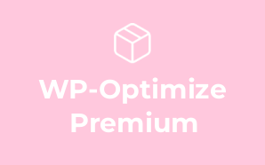 WP-Optimize Premium