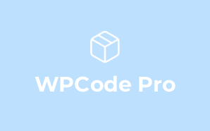 WPCode Pro