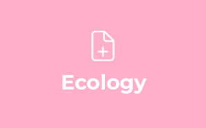 Ecology & Environment WP Theme – G