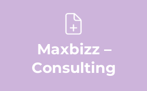 Maxbizz – Consulting & Financial E