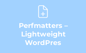 Perfmatters – Lightweight WordPres