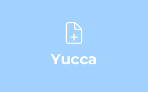 Yucca